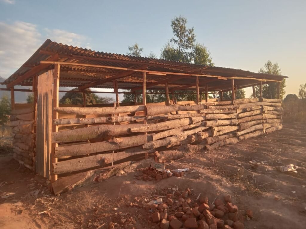 HEAL Project: Skills Development and Livelihood Empowerment for Caregivers – Phalombe
